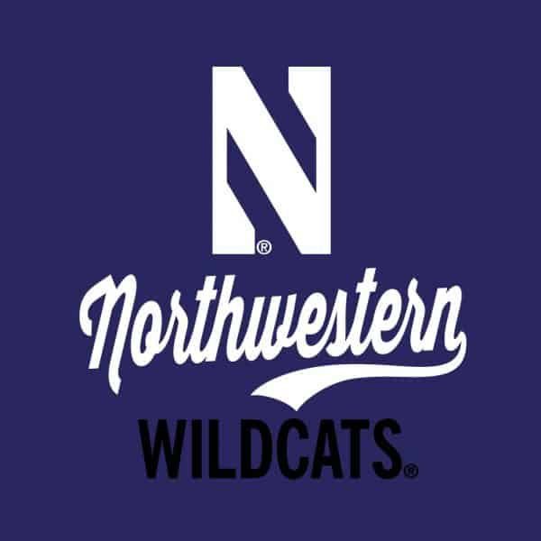 Northwestern University Wildcats Ladies Under Armour Grainy Tech Purple 1/2 Zip - Image 2