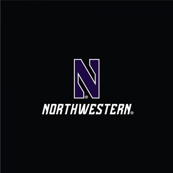 Northwestern University Wildcats Men's Under Armour Threadborne Ridge Fleece Black Jogger Pants - Image 2