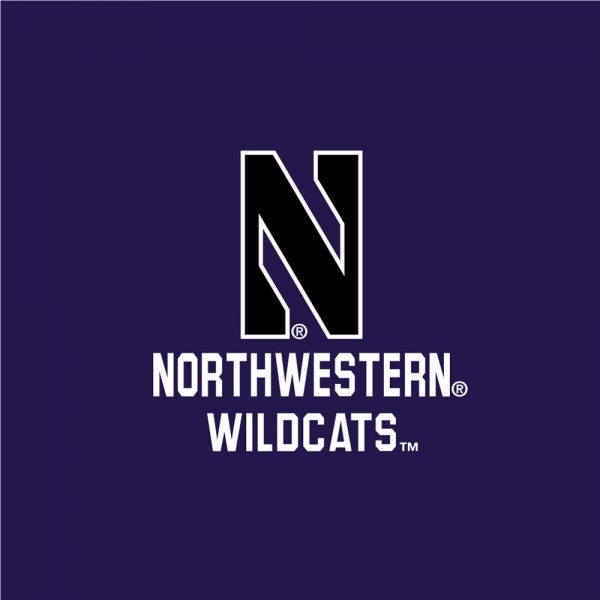 Northwestern University Wildcats Ladies Under Armour Coldgear Nodus Purple 1/2 Zip - Image 2
