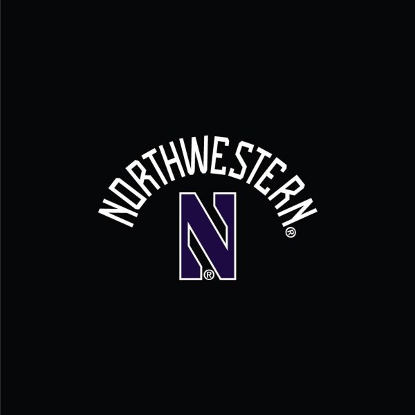 Northwestern University Wildcats Ladies Under Armour Threadborne Ridge Black Fleece Crop Pants - Image 2
