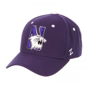 Northwestern Wildcats Zephyr Dark Purple Fitted Hat with Stylized N-Cat Design