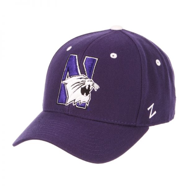 Northwestern Wildcats Zephyr Dark Purple Fitted Hat with Stylized N-Cat Design