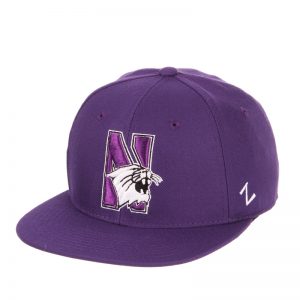 Northwestern Wildcats Zephyr Purple Fitted Hat with Stylized N-Cat Design