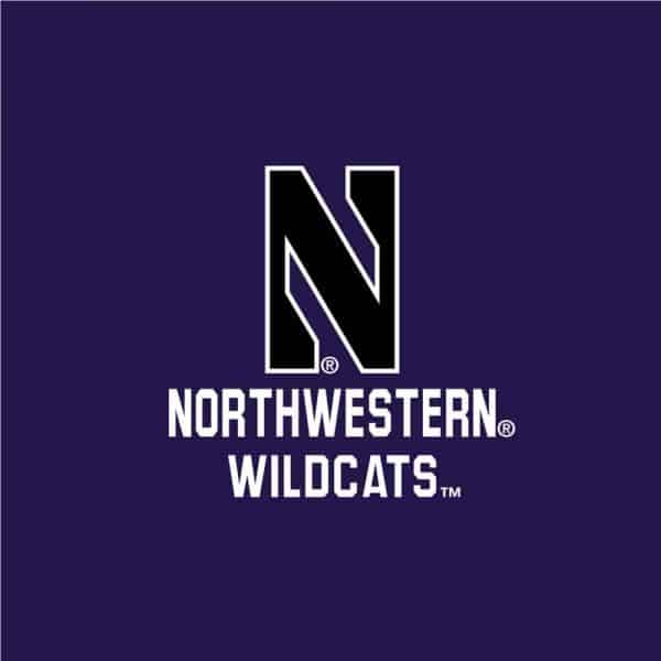 Northwestern University Wildcats Ladies Under Armour Coldgear Nodus Purple 1/2 Zip - Image 4