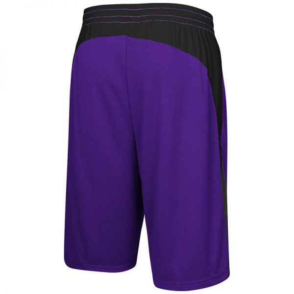 Northwestern University Wildcats Colosseum Purple / Black / Charcoal Youth Hall Of Fame Short with Stylized N Design-Back