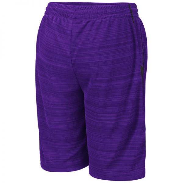 Northwestern University Wildcats Colosseum Purple Youth Wewak Short with N-Cat Design