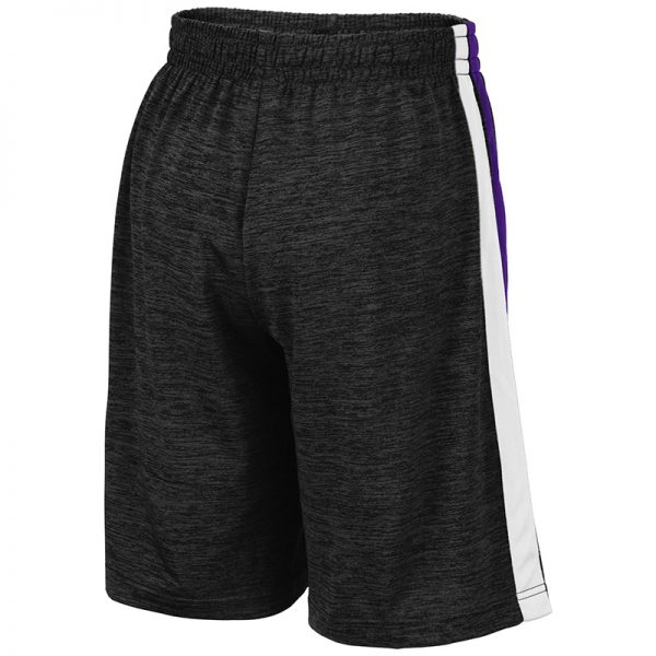 Northwestern University Wildcats Colosseum Black/Purple/Black Youth Mendoza Short with N-Cat Design-Back