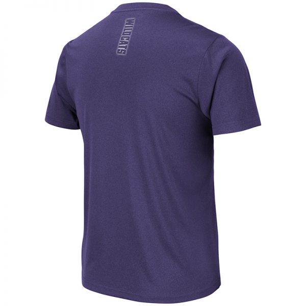 Northwestern University Wildcats Colosseum Men's Purple Hamilton S/S T-Shirt with N-Cat Design-Back