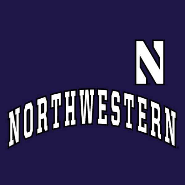 Northwestern University Wildcats Champion Men's Purple Pullover Hockey Hooded Sweatshirt with Arch & Stylized N Design - Image 2