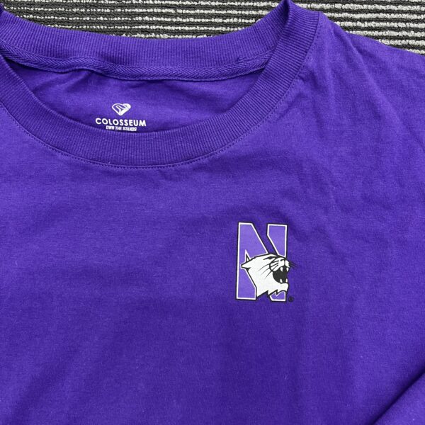 Northwestern University Wildcats Colosseum Ladies Purple All Around Oversized L/S Top with N-Cat Design - Image 5