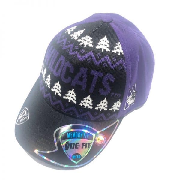 Northwestern University Wildcats Onefit Christmas & Holiday Inspired Hat