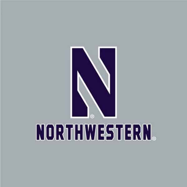 Northwestern University Wildcats Champion Men's Oxford Heather Super Heavy Weight Reverse Weave Jogger Pant With Stylized N over Northwestern Design-2