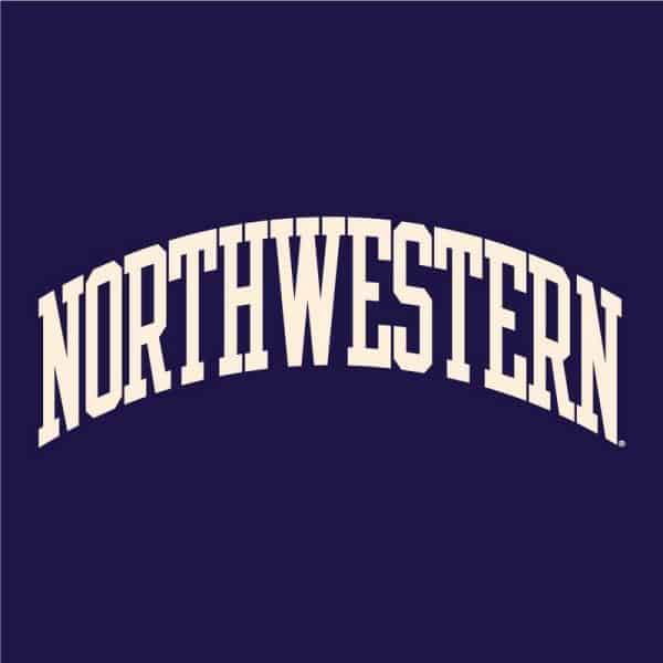 Northwestern University Wildcats Men's Purple Champion Eco Powerblend Crewneck Sweatshirt with Creamy White Arched Northwestern Wool Sewn Appliqué Design-3