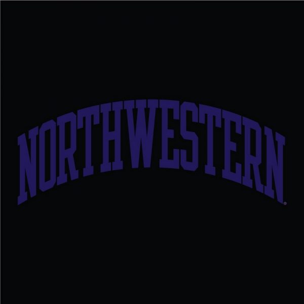 Northwestern University Wildcats Men's Black Champion Super Heavy Reverse Weave Crewneck Sweatshirt with Purple Arched Northwestern Wool Sewn Appliqué Design -3