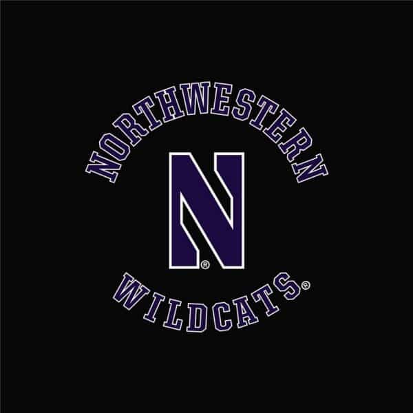 Northwestern University Wildcats Ladies Under Armour Carbon Heather Play Up Pants -2