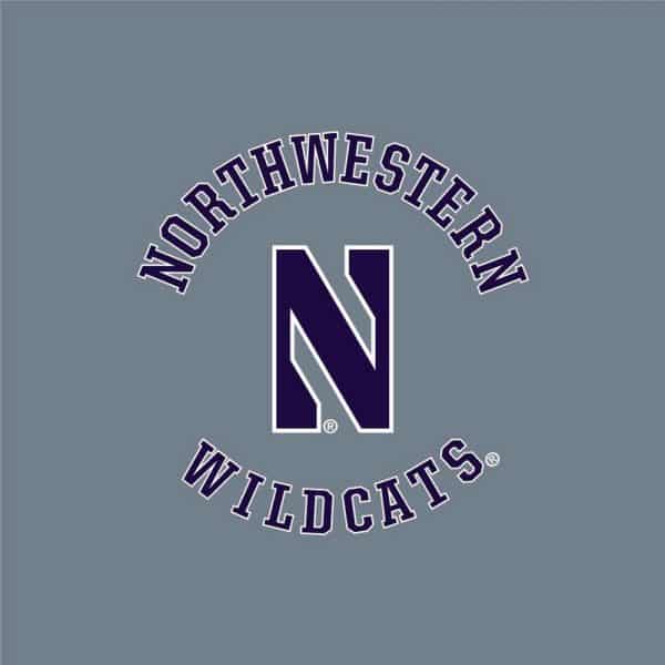 Northwestern University Wildcats Ladies Under Armour True Grey Heather Play Up Pants-2