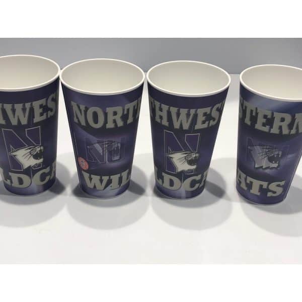 Northwestern University Wildcats 20 OZ 3D Multi Image & Changing Image Tumbler