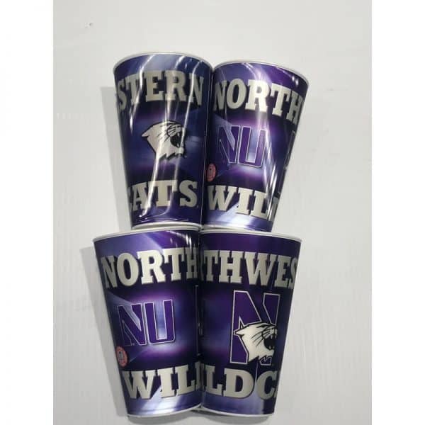 Northwestern University Wildcats 20 OZ 3D Multi Image & Changing Image Tumbler -2