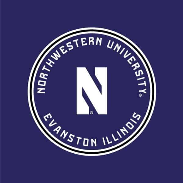 Northwestern University Wildcats Ladies Under Armour Purple Training Camp Performance Cotton Muscle Tank Top-4