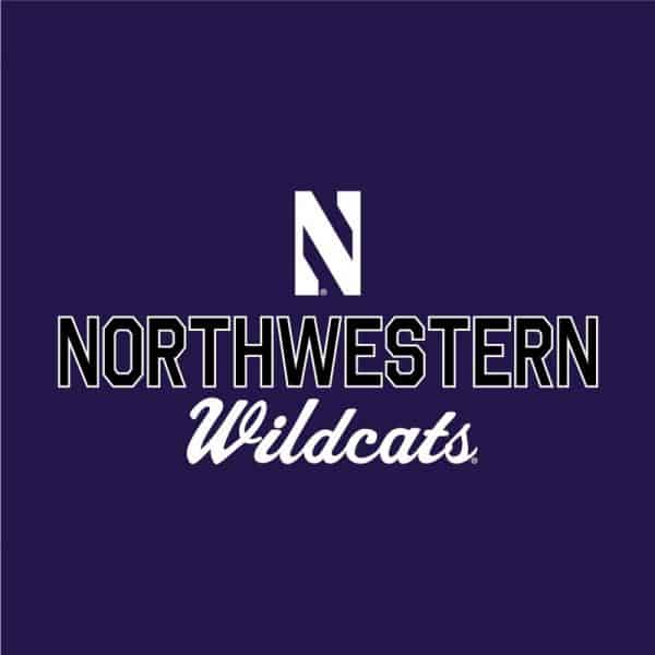 Northwestern University Wildcats Ladies Under Armour Purple / Graphite Training Camp Performance Cotton Short Sleeve Tee-2