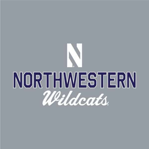 Northwestern University Wildcats Ladies Under Armour Steel Heather / Graphite Training Camp Performance Cotton Short Sleeve Tee