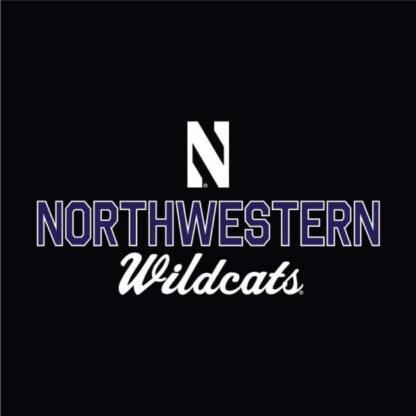 Northwestern University Wildcats Ladies Under Armour Black Training Camp Performance Cotton Short Sleeve Tee -2