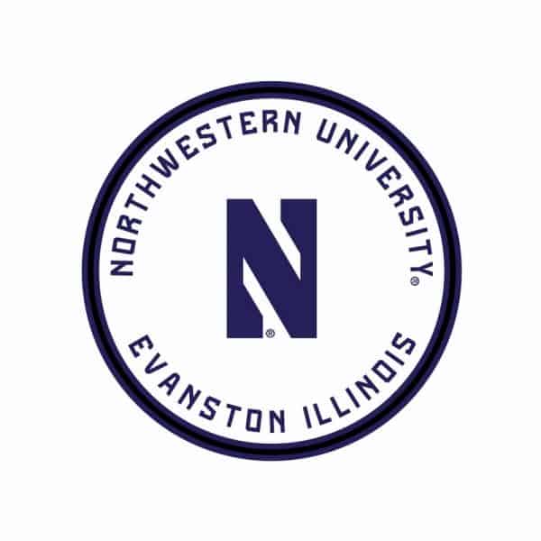 Northwestern University Wildcats Ladies Under Armour White Training Camp Performance Cotton Muscle Tank Top-4