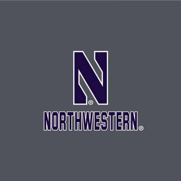 Northwestern University Wildcats Men’s Under Armour Steel Novelty Vanish Seamless 1/4 Zip With Stylized N Design-2