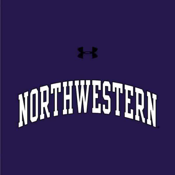 Northwestern University Wildcats Ladies Under Armour Purple Performance Cotton Short Sleeve Tee With Northwestern Arch Design-2