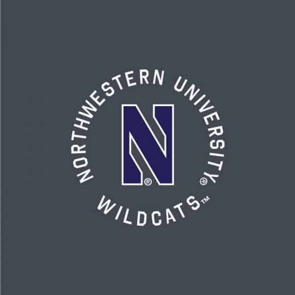 Northwestern University Wildcats Ladies Under Armour Grey Short with Purple Accent and Side Pockets -2