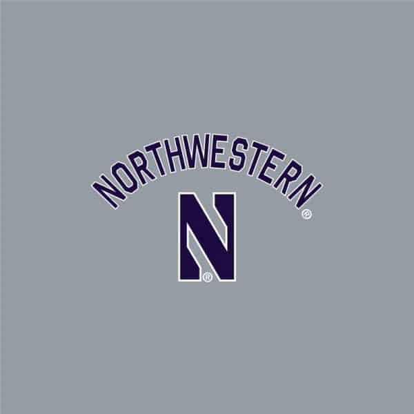 Northwestern University Wildcats Men's Under Armour Steel Double Knit Jacquard Short-2
