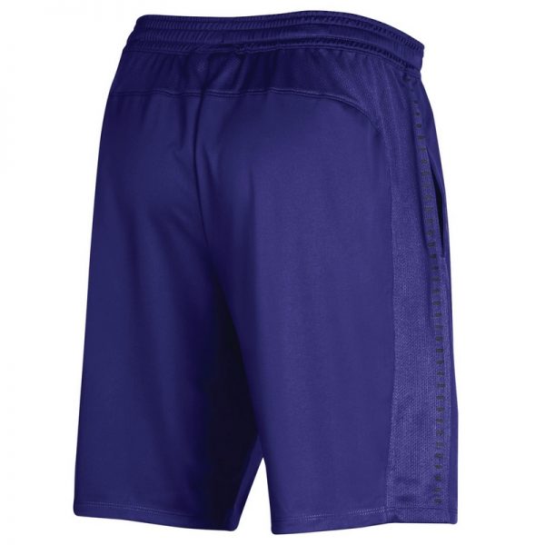 Northwestern University Wildcats Youth Under Armour Purple Raid Short -3