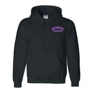 Northwestern University Wildcats Men's Black Hooded Sweatshirt with Left Chest Embroidered Northwestern University Design