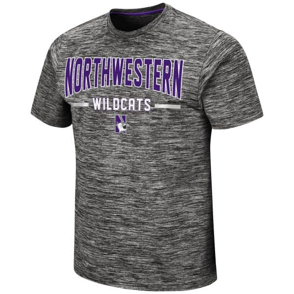 Northwestern University Wildcats Colosseum Men's Born N Raised S/S Tee