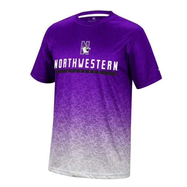 Northwestern University Wildcats Colosseum Men's Walter S/S Tee