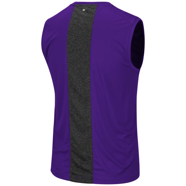 Northwestern University Wildcats Colosseum Men's Gergich Sleeveless T-Shirt -Back