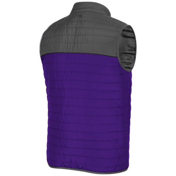 Northwestern University Wildcats Colosseum Men's Baskiceball Vest-Backside