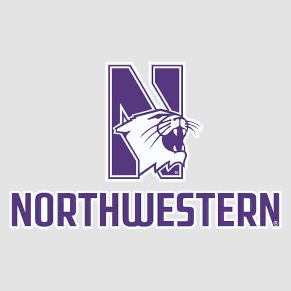 Northwestern University Wildcats N-cat Northwestern Design Outside Application Decal -2