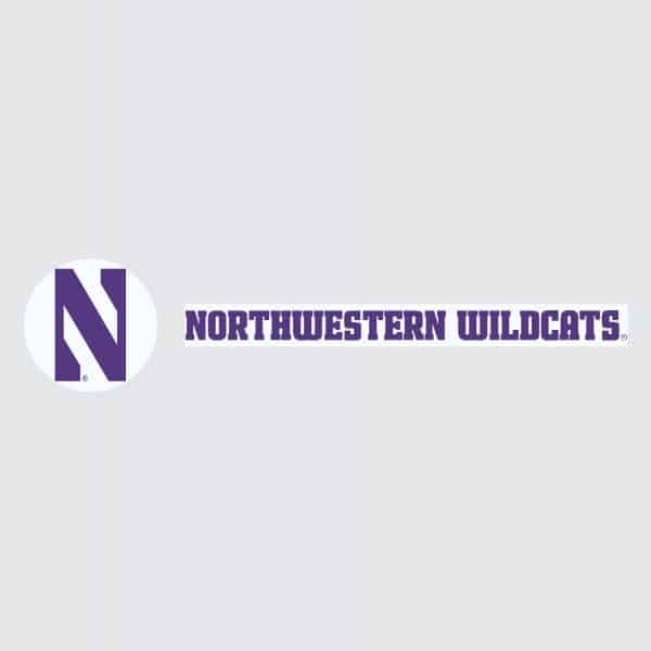 Northwestern University Wildcats Pack of Ten Golf Tees with Stylized N design