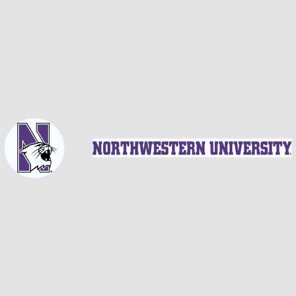 Northwestern University Wildcats Pack of Ten Golf Tees with N-Cat Design