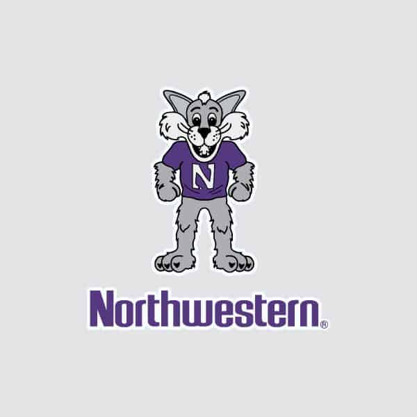 Northwestern University Wildcats Full Color Outside Application Decal with Willie the Wildcat Over Northwestern Design 3.5" High