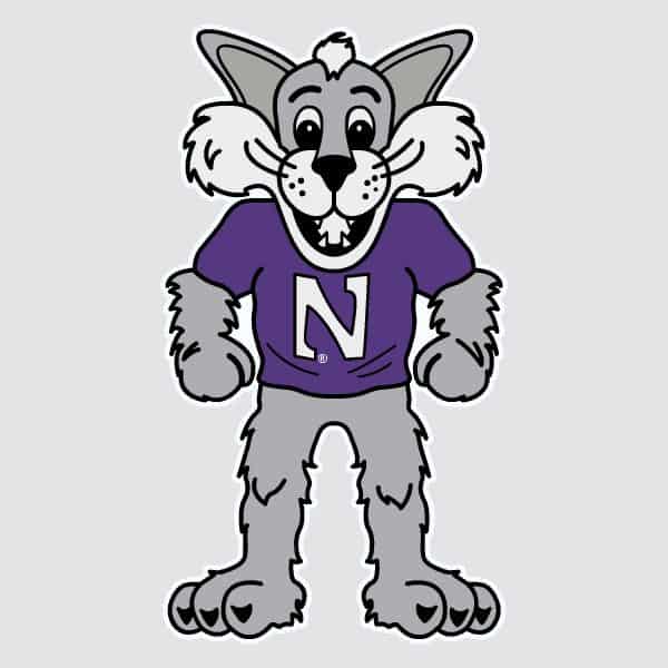 Northwestern University Wildcats Full Color Outside Application Decal with Willie the Wildcat Design 6" High