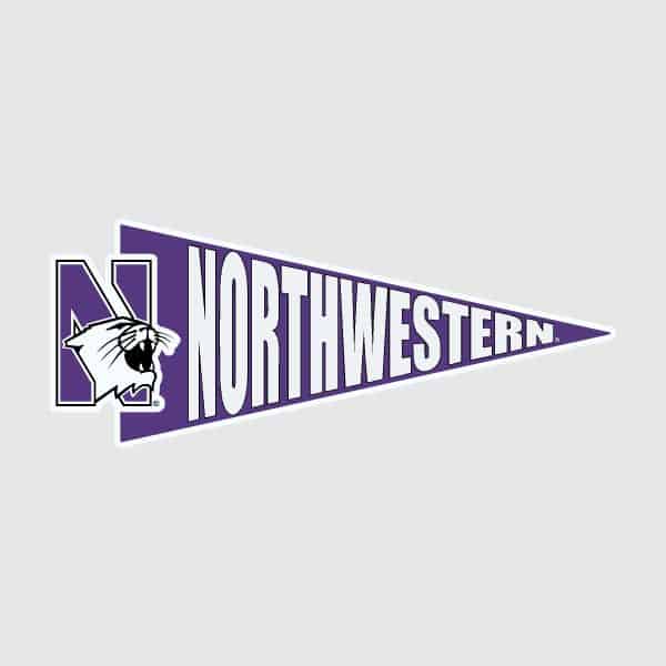 Northwestern University Wildcats Flexible Multi-Color Magnet with Pennant Design 4"X10"