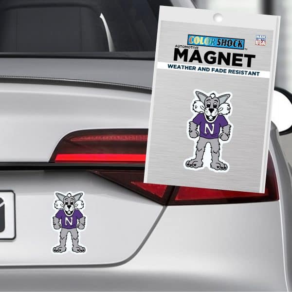 Northwestern University Wildcats 5.5" High Flexible Multi-Color Magnet with Willie the Wildcat Design-2