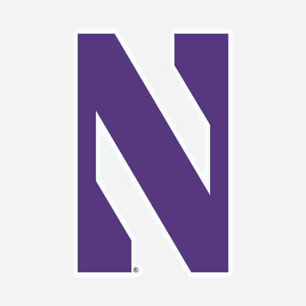 Northwestern University Wildcats 5" High Flexible Multi-Color Stylized N Magnet-2