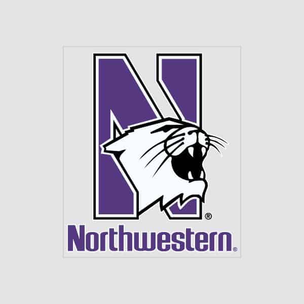 Northwestern University Wildcats Static Cling Inside Application Decal with N-Cat over Northwestern Design