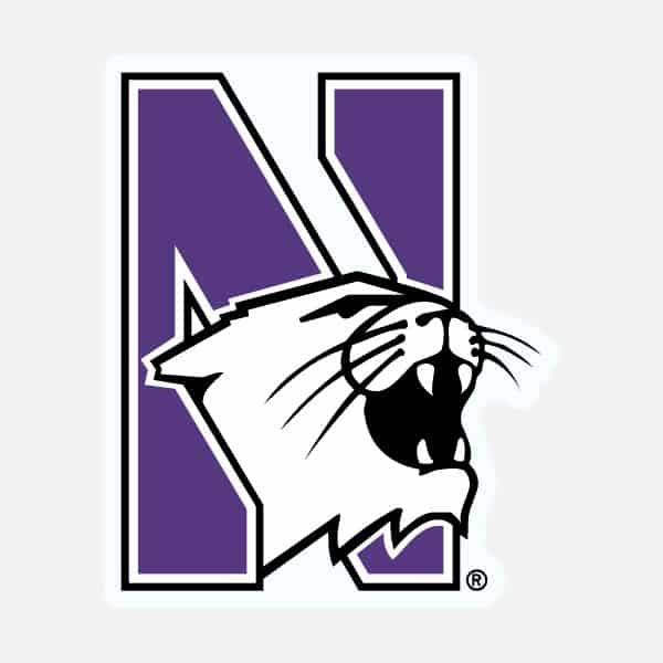 Northwestern University Wildcats 12" High Flexible Multi-Color N-Cat Magnet -2