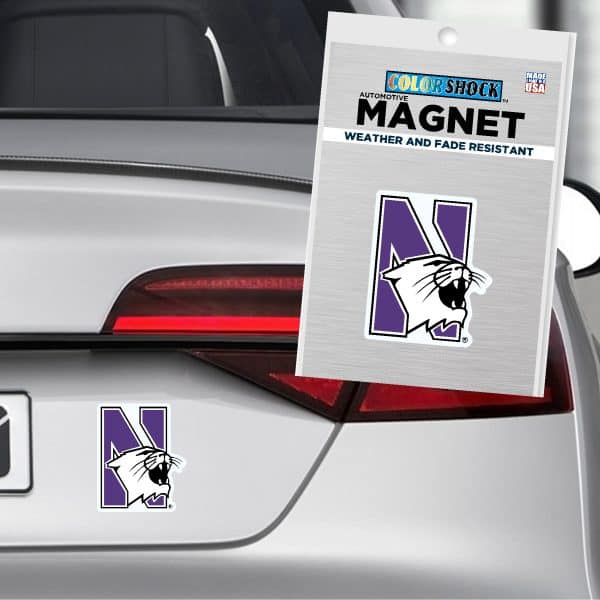 Northwestern University Wildcats 12" High Flexible Multi-Color N-Cat Magnet