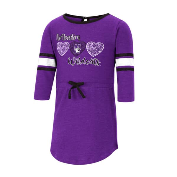 Northwestern University Wildcats Colosseum Toddler Girls Poppins Dress