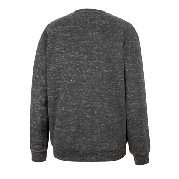 Northwestern University Wildcats Colosseum Men's Throw Quite A Party Crewneck - Back Side